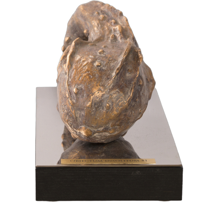 The author's bronze sculpture "Unidentified object #1"